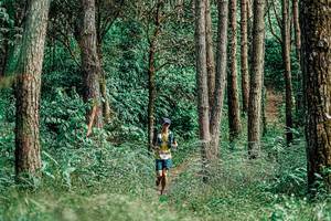 BIB: 
                            <button type="button" onclick="openModal(25235812)" class="btn btn-primary btn-sm float-right btn-popup" data-toggle="modal" data-target=".modal-high-quality">
                        <i class="fas fa-shopping-cart"></i> Add to Cart
                    </button>
                                            <button type="button" onclick="isThisMe(25235812, true)" class="btn btn-success btn-sm float-right btn-popup btn-isme hidden" data-toggle="tooltip" data-placement="bottom" title="นี่คือรูปของคุณใช่ไหม คลิกที่นี่เพื่อเอาเข้าอัลบั้ม">
                        <i class="fas fa-plus"></i> Add to album
                    </button>
                    <button type="button" onclick="isThisMe(25235812, false)" class="btn btn-warning btn-sm float-right btn-popup btn-isnotme hidden">
                        <i class="fas fa-ban"></i> Remove from album
                    </button>